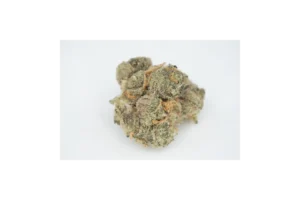 Produkte - Botanics Tonic Fuel 22/1