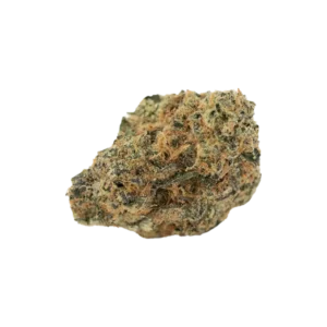 Produkte - Bathera 25/1 