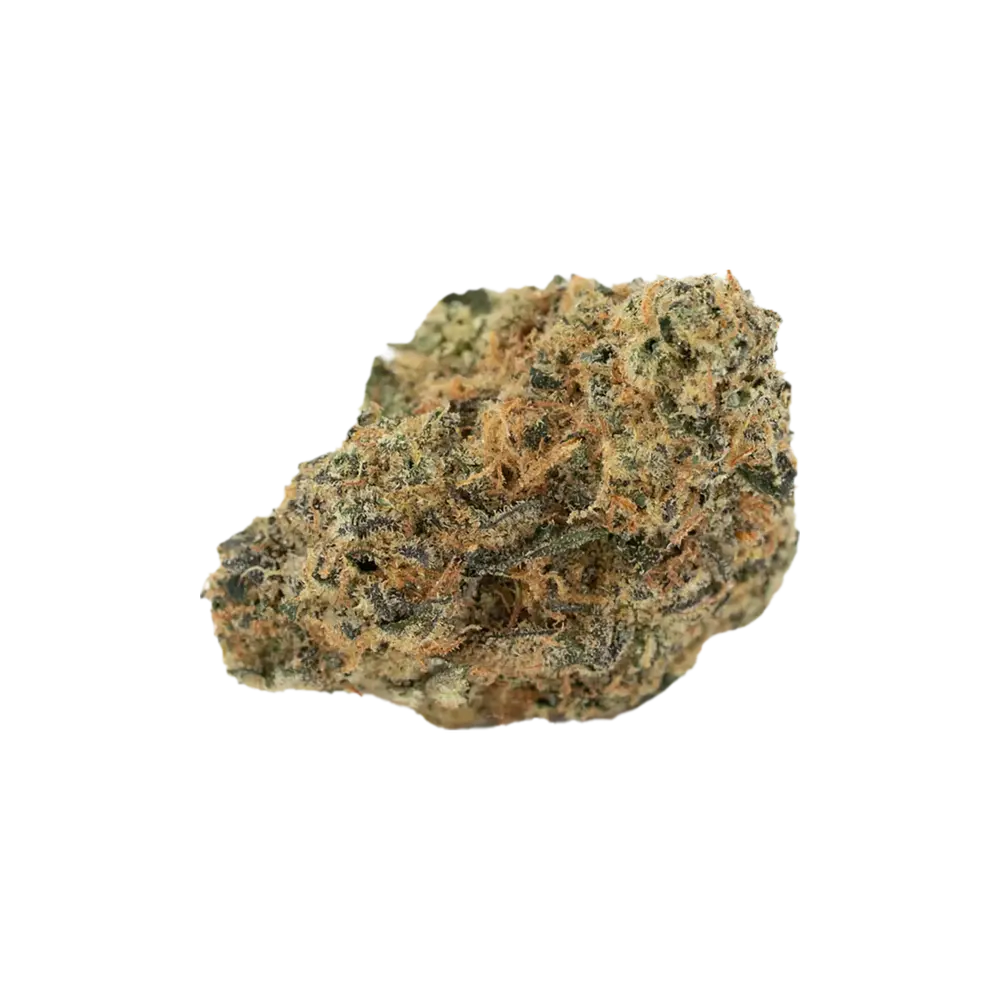 Produkte - Bathera 25/1 