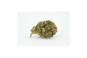 Produkte - 27/1 NICE S
