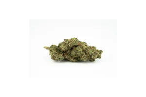Produkte - 420 Evolution 27/1 CA ICC
