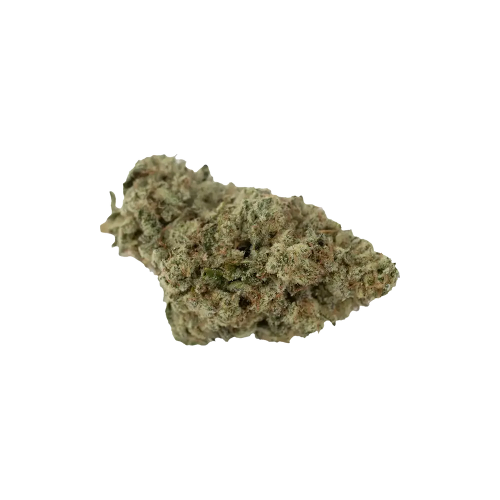 Produkte - KEjF.SMNZ 25/1