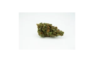 Produkte - Typ 1 Aurora