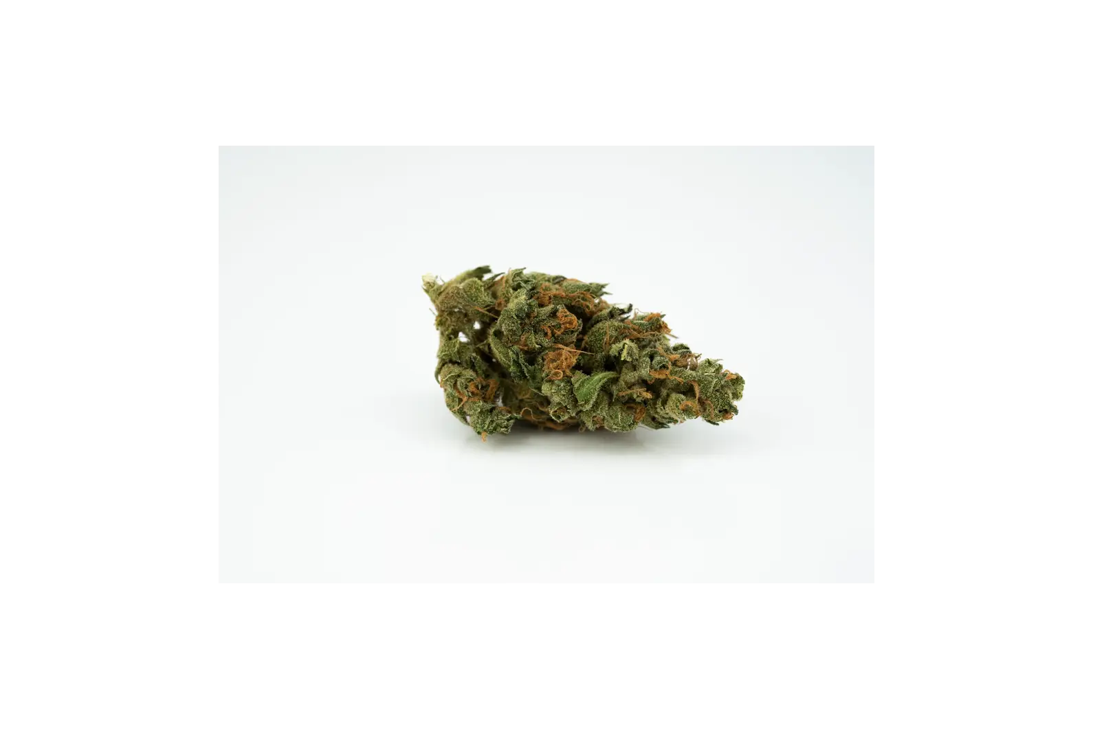 Produkte - Typ 1 Aurora