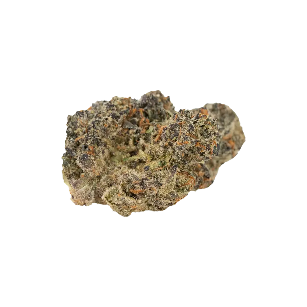 Produkte - LOT 420 ATA