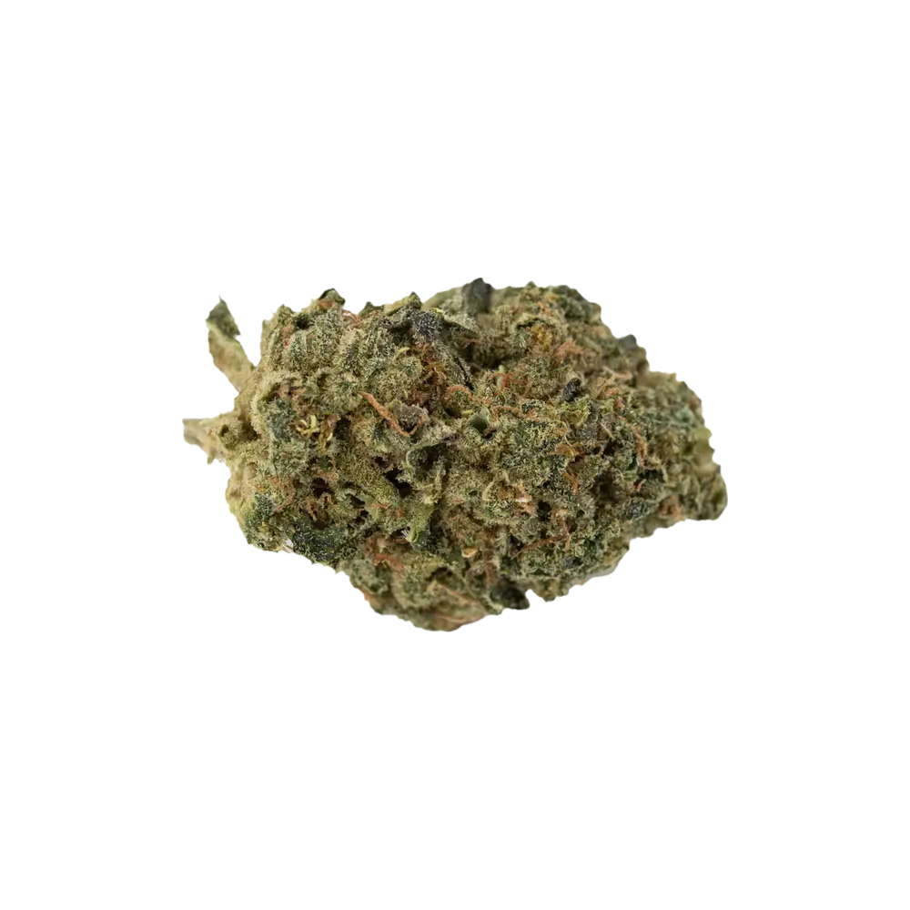 Produkte - MediCann OZ 26/1