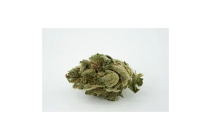 Produkte - Navcora THC22 Spotlight Porto