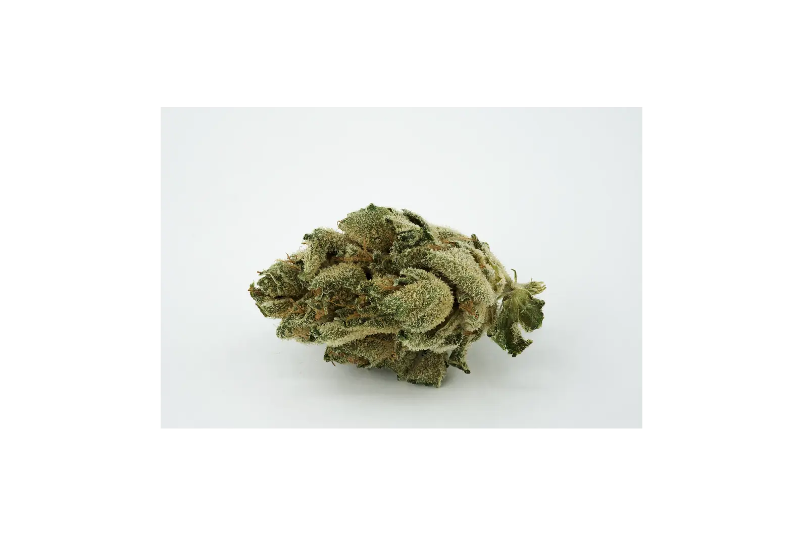 Produkte - Navcora THC22 Spotlight Porto