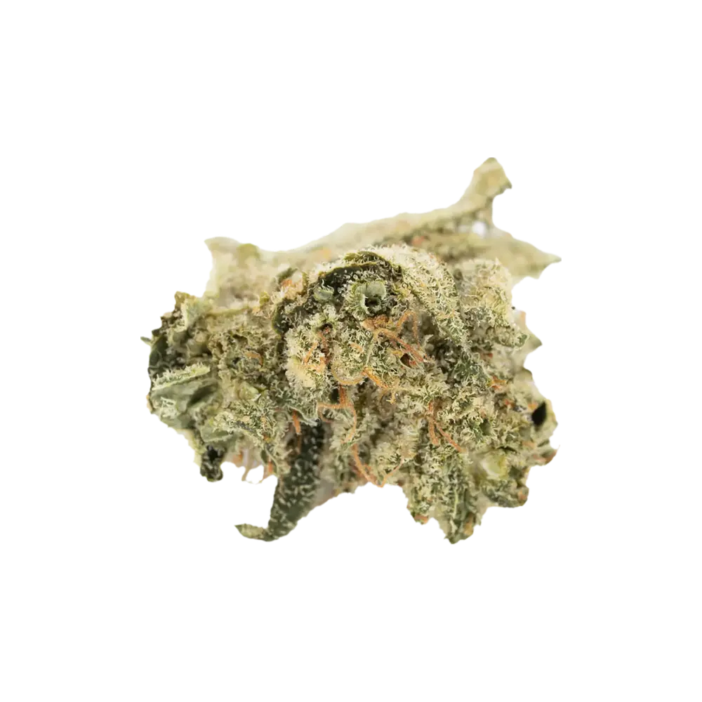 Produkte - Bedrolite