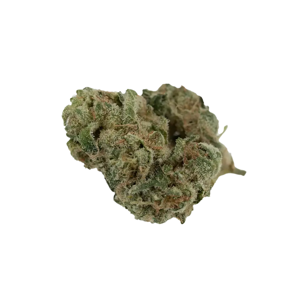 Produkte - 420 Natural 15/1 CA TRP