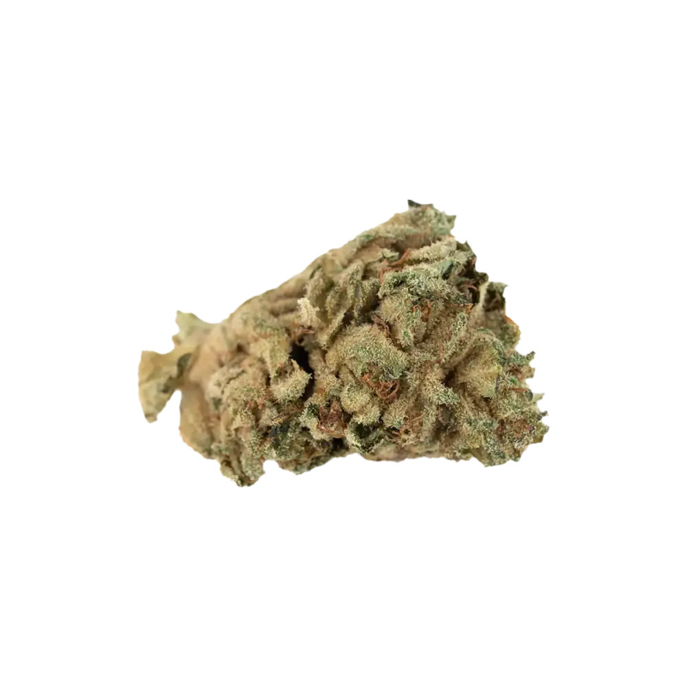 Produkte - enua 27/1 SBD CA