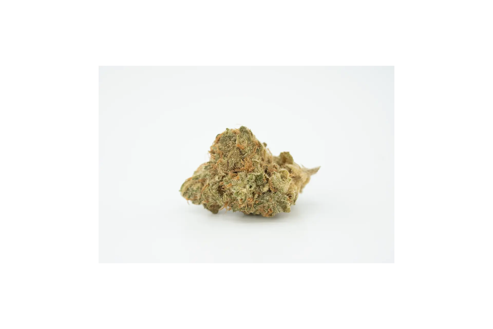 Produkte - GROW 18 HF Mac