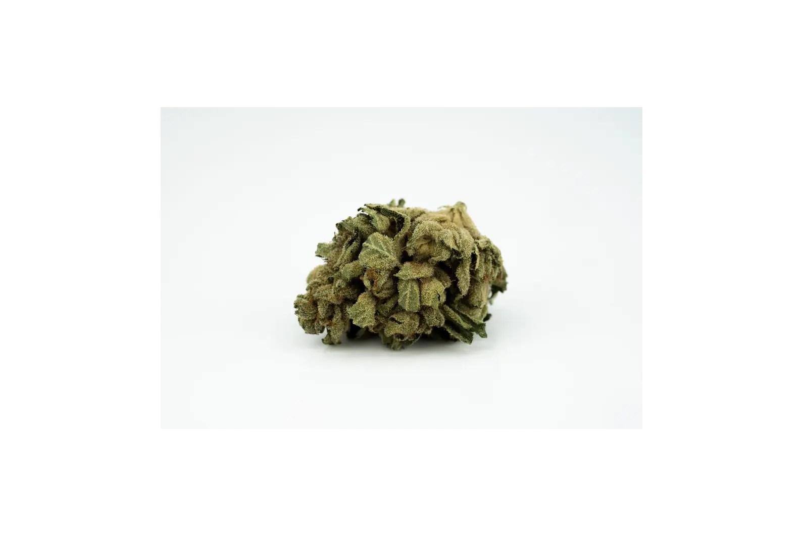 Produkte - Tilray THC25 Indica No.2