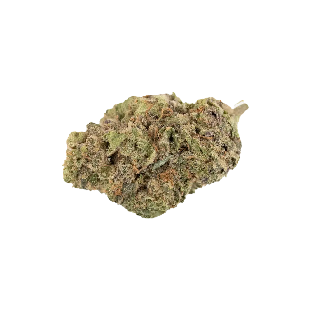 Produkte - Canopy KMI 28