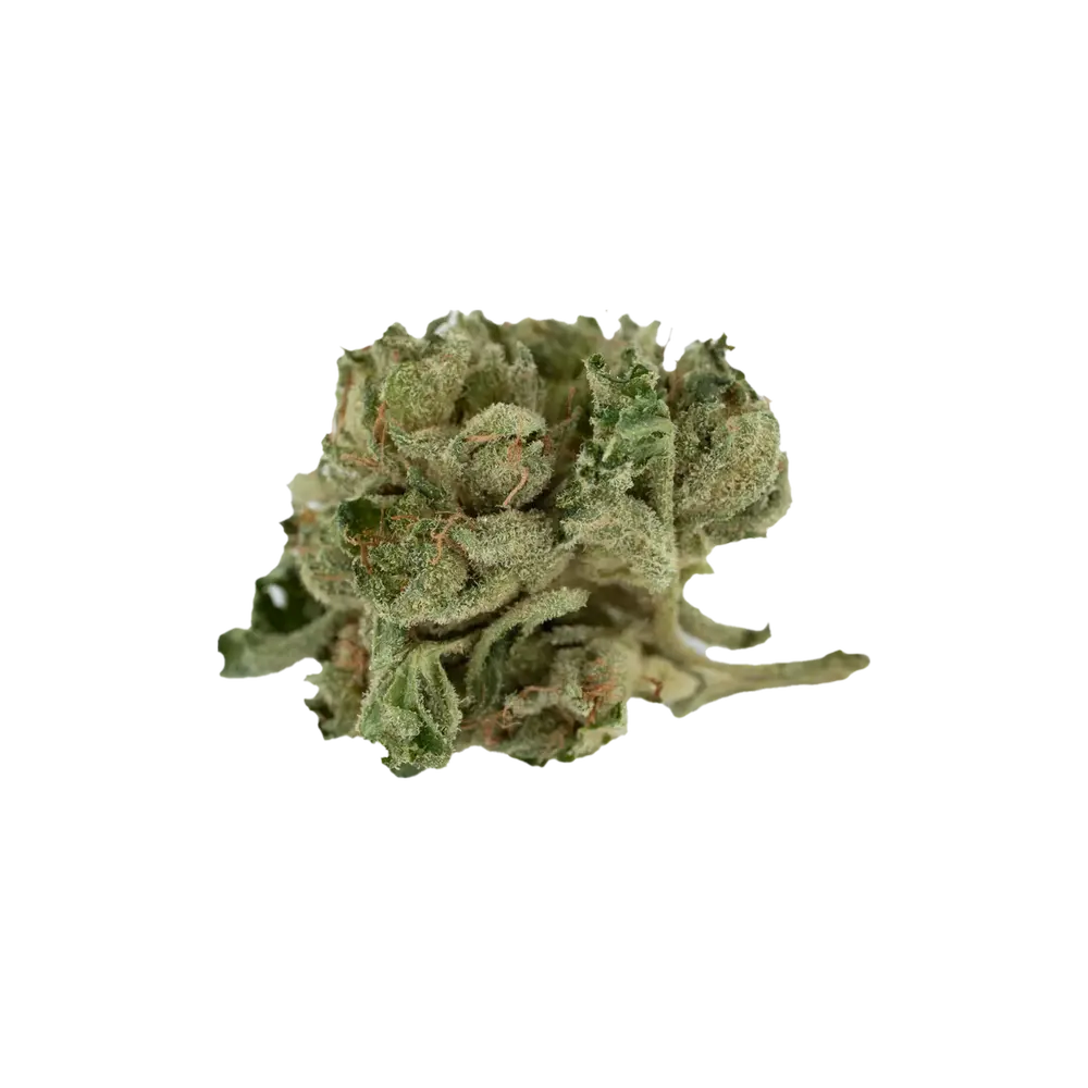 Produkte - Tilray THC18 Spotlight Porto