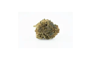 Produkte - Aurora 1/12 DNK CT