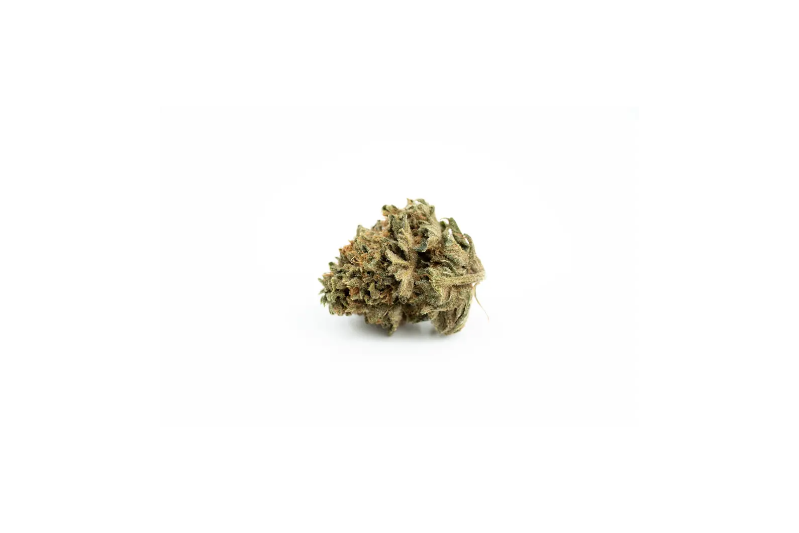 Produkte - Cannamedical Indica Forte MA