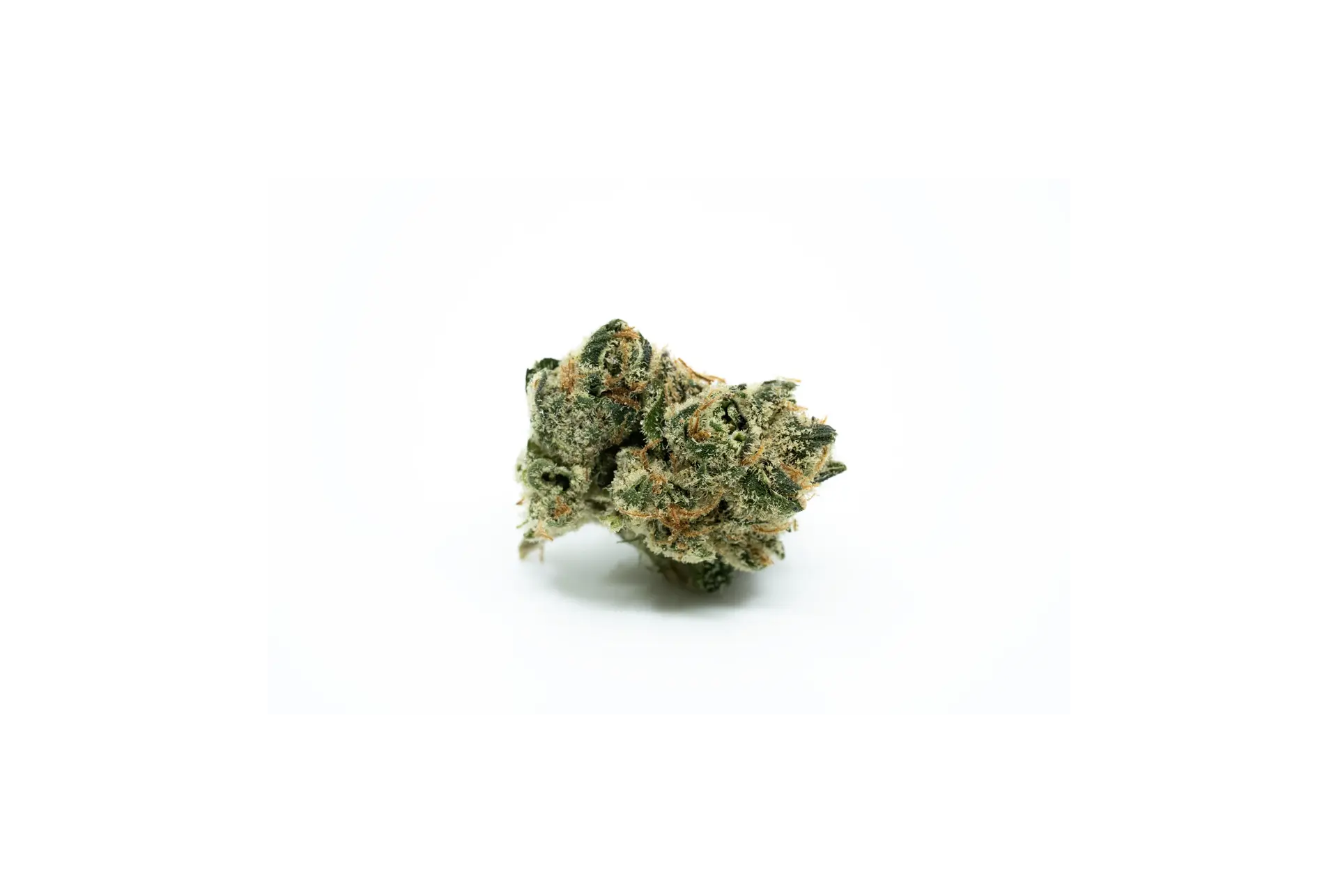 Produkte - Botanics Golden Ace 20/1