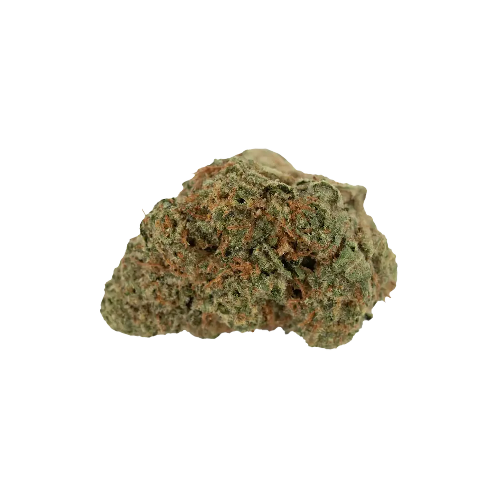 Produkte - Barongo 26/1 BM