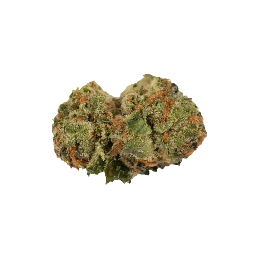 Produkte - Cannamedical Sativa forte MA
