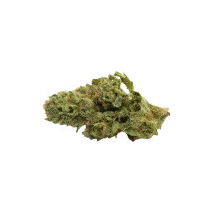 Produkte - RE:CANNIS 19/1 Sativa