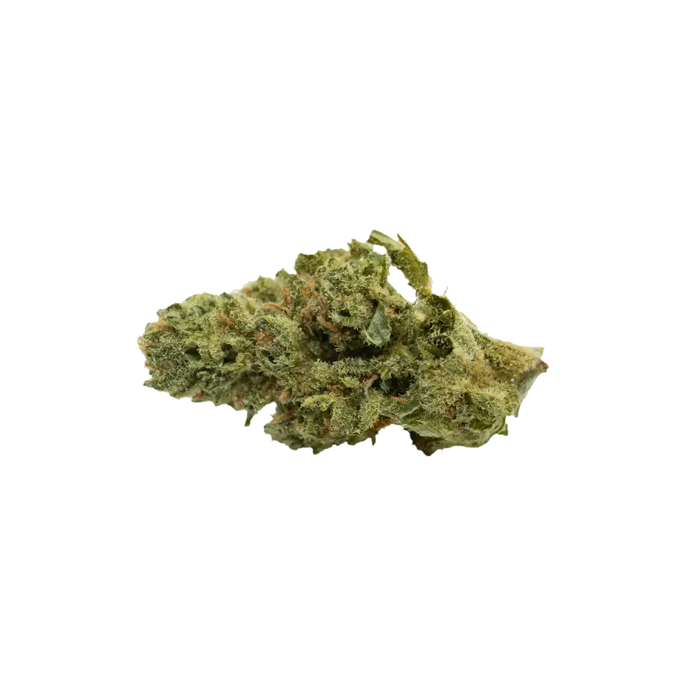 Produkte - RE:CANNIS 19/1 Sativa