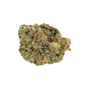 Produkte - Bathera 24/1