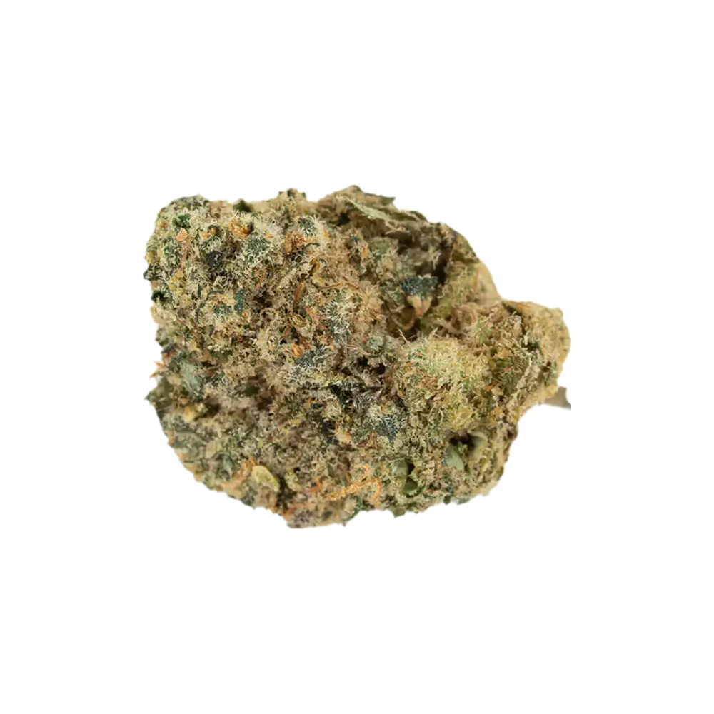 Produkte - Bathera 24/1
