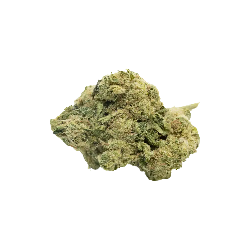 Produkte - Green Karat SD 30/1