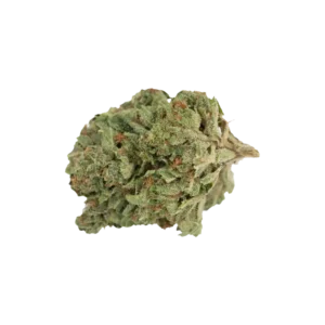 Produkte - madrecan 18/1 RCH 