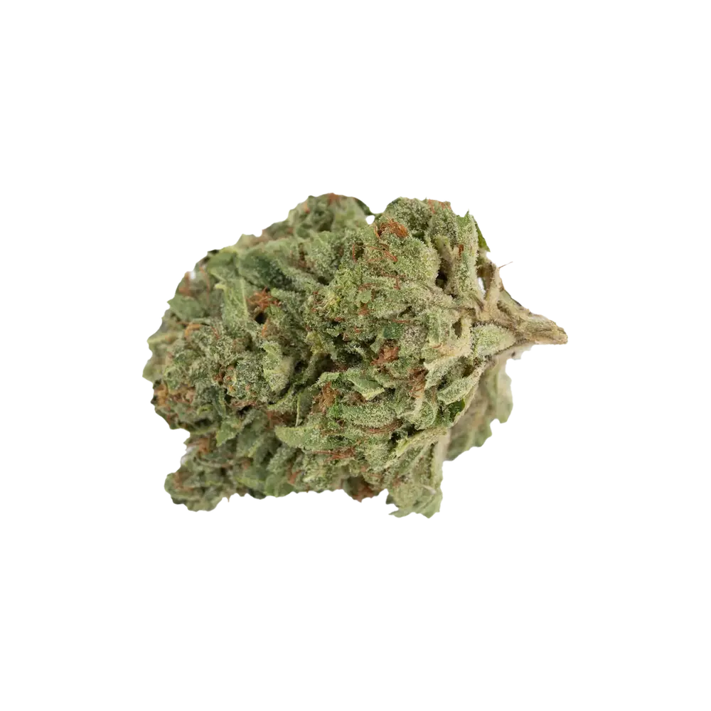 Produkte - madrecan 18/1 RCH 
