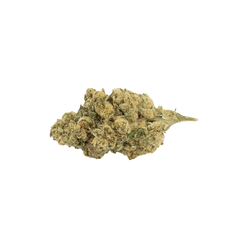 Produkte - Demecan MC Regular Drop