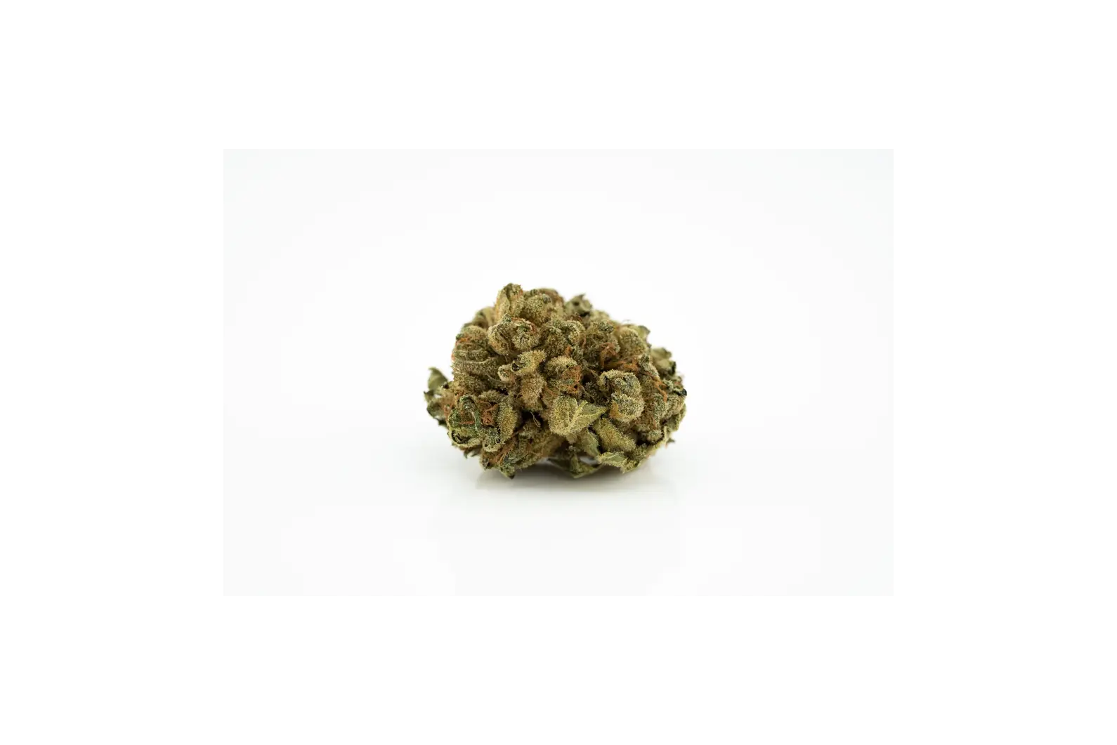 Produkte - Cannabis Flos 20/1 CSF