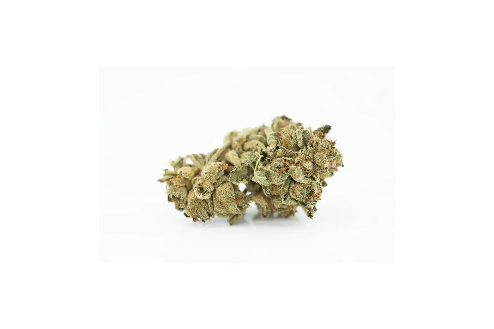 Produkte - Tilray THC15 Spotlight Porto 
