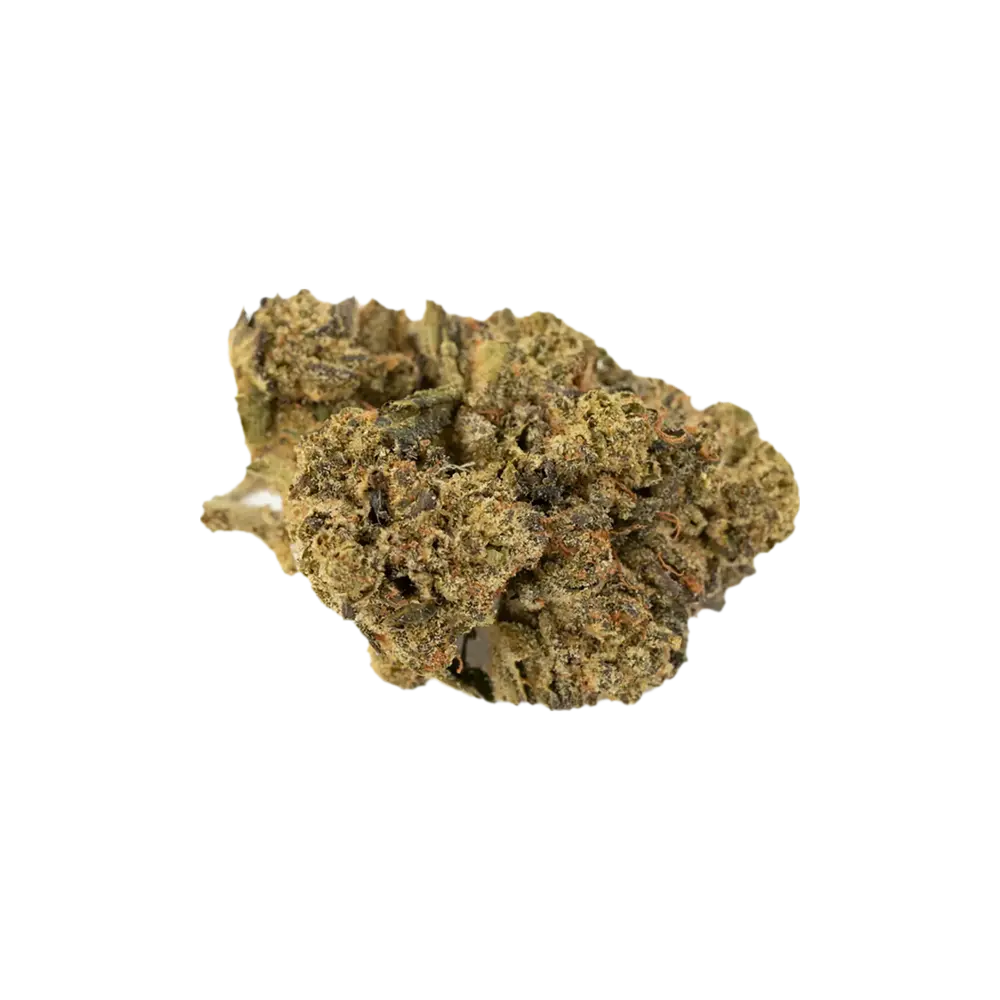 Produkte - Aurora 20/1