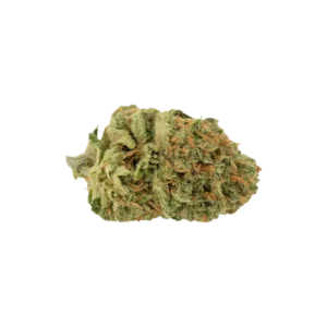 Produkte - Cannamedical Sativa classic NM
