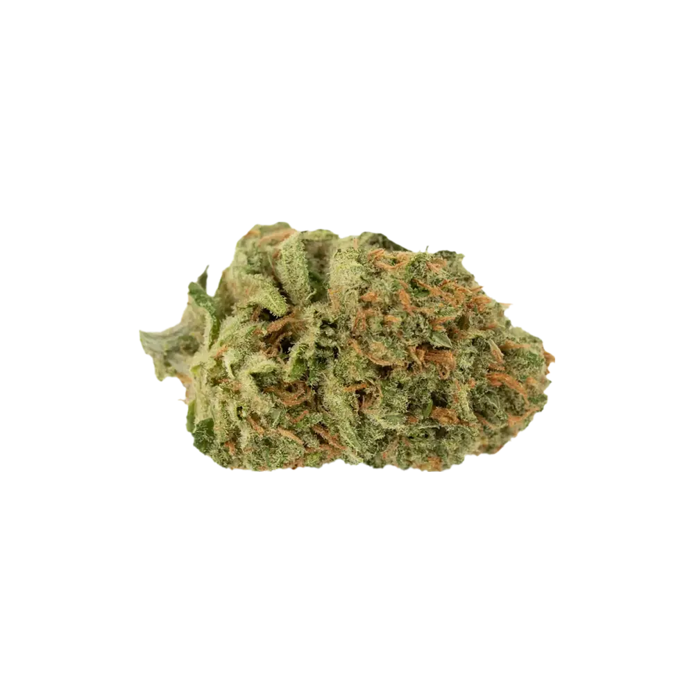 Produkte - Cannamedical Sativa forte NM