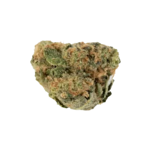 Produkte - CannabiStada 22/1 WAP 