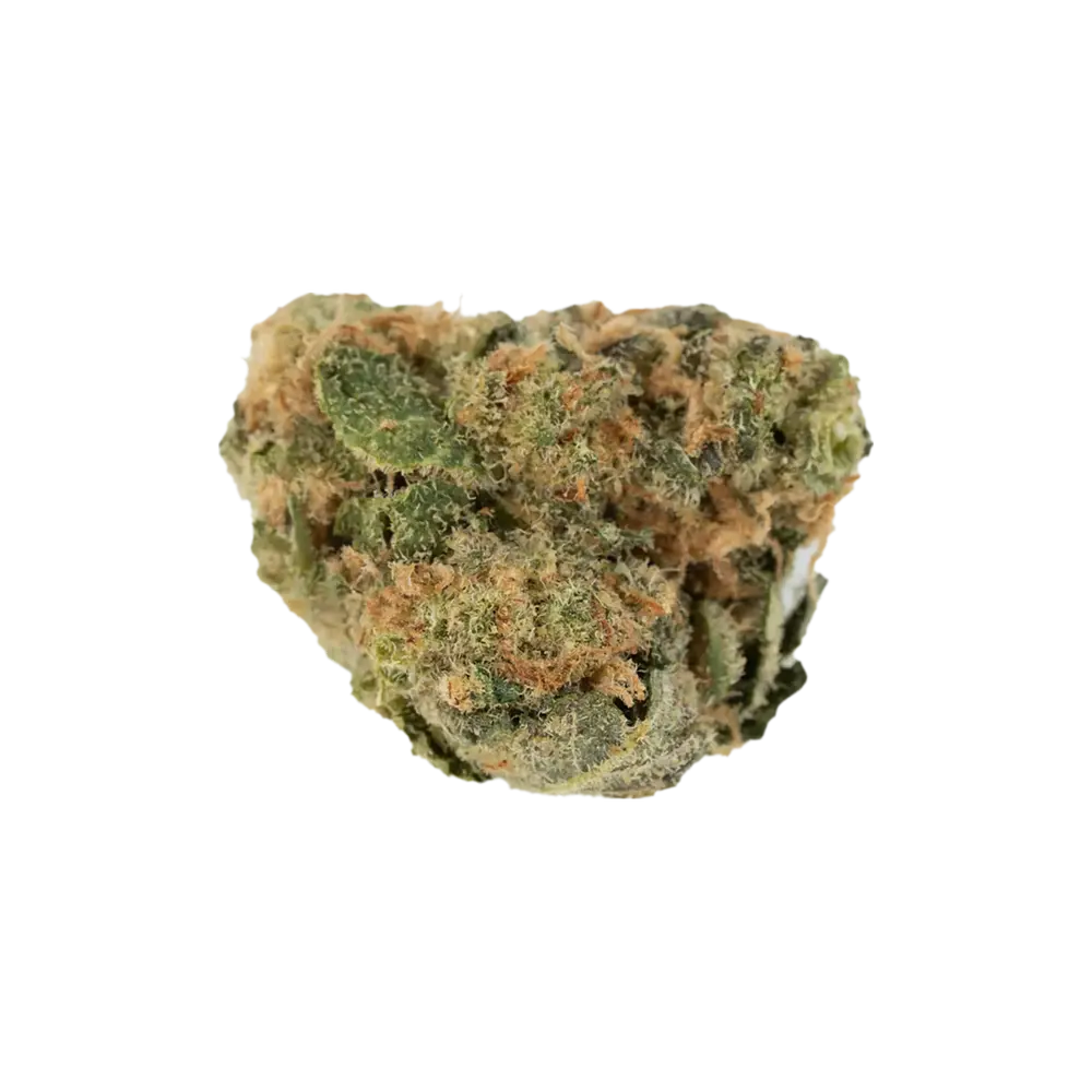Produkte - GROW RO 24