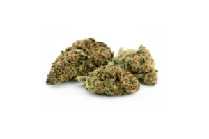 Produkte - Cannamedical Sativa forte NM