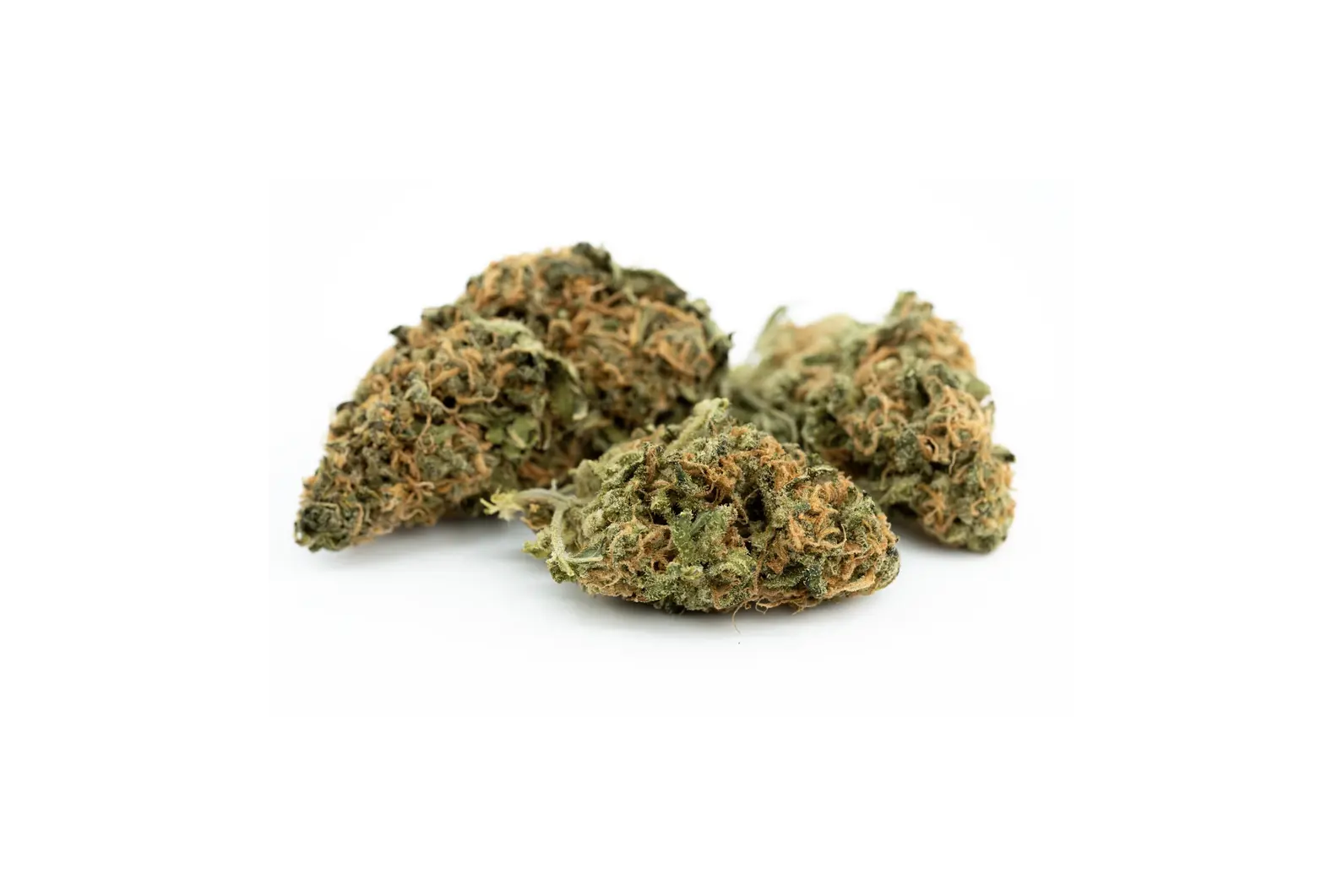 Produkte - Cannamedical Sativa forte NM