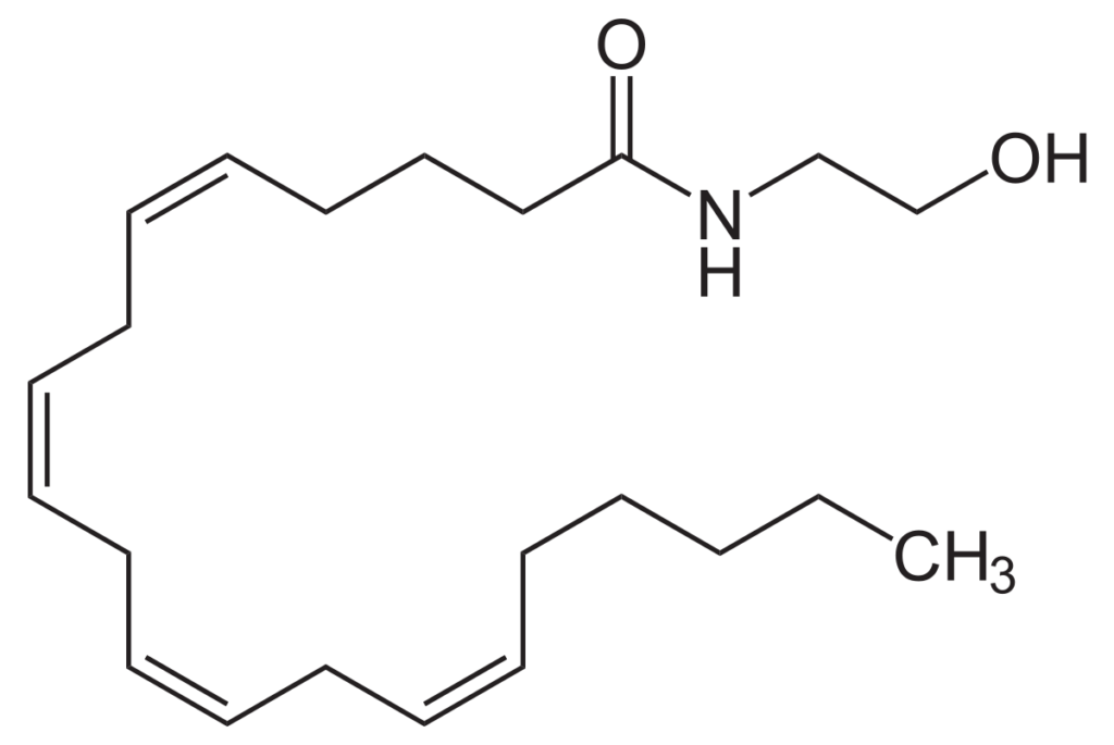 Strukturformel Anandamid (Summenformel: C22H37NO2)