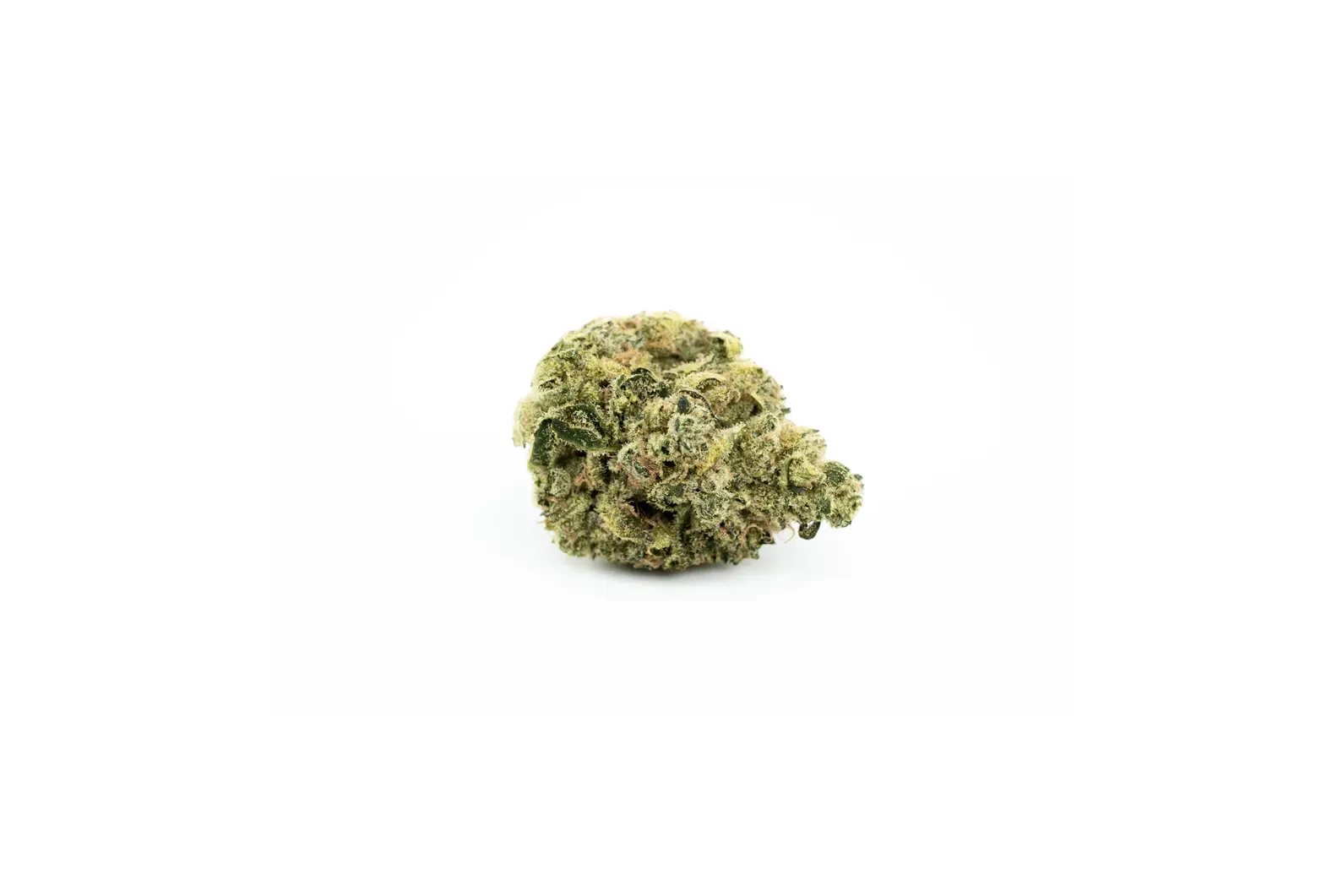Produkte - Canopy Krypton 25