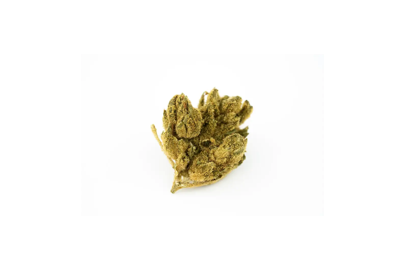 Produkte - Relecan Hybrid Strong