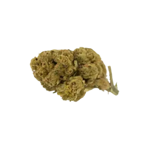 Produkte - Cannabis Flos 20/1 UY Ku. Purple Dog Bud