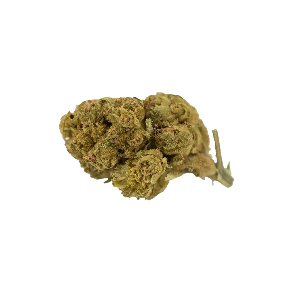 Produkte - GrowMotion TJ 27/1