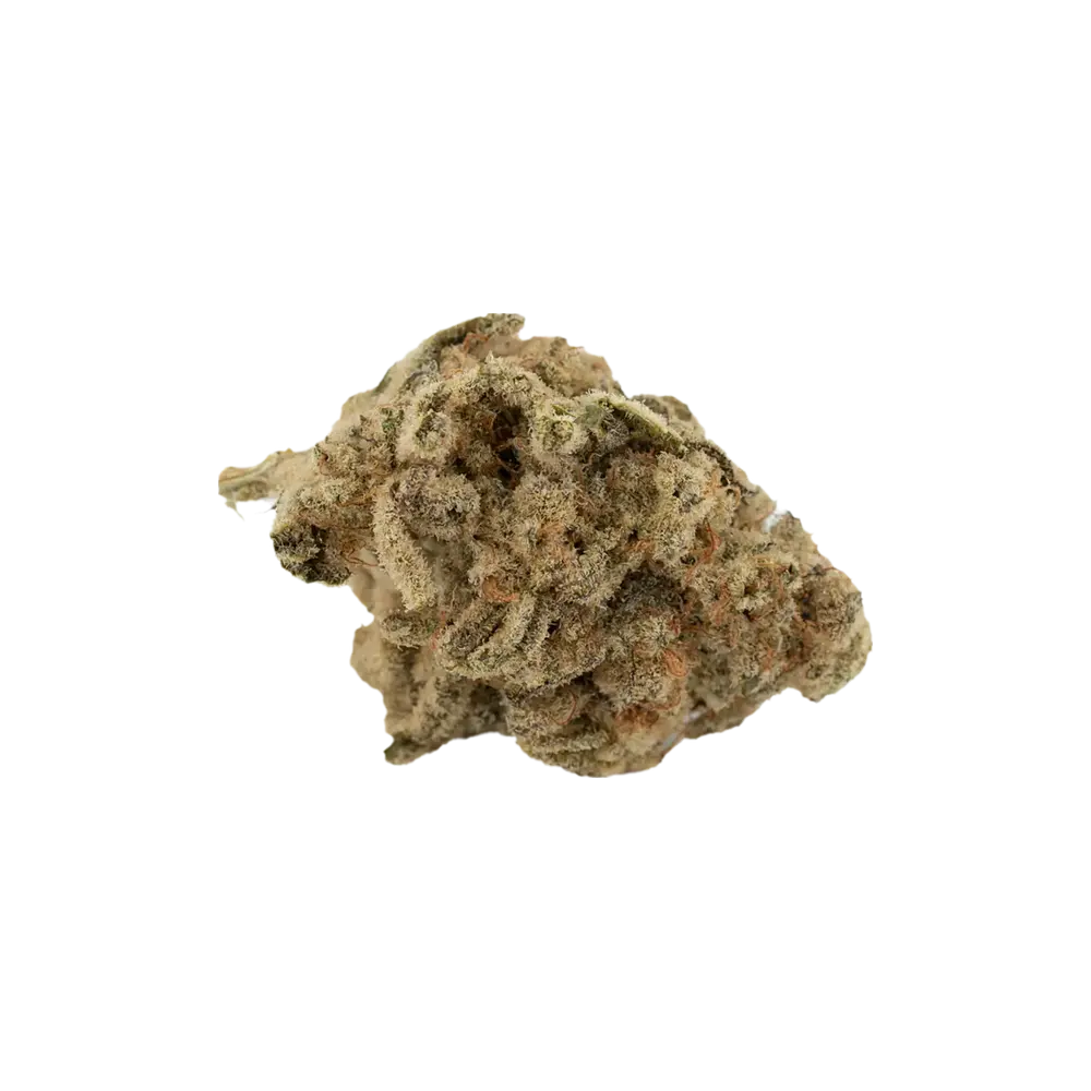 Produkte - Cannamedical Hybrid forte 
