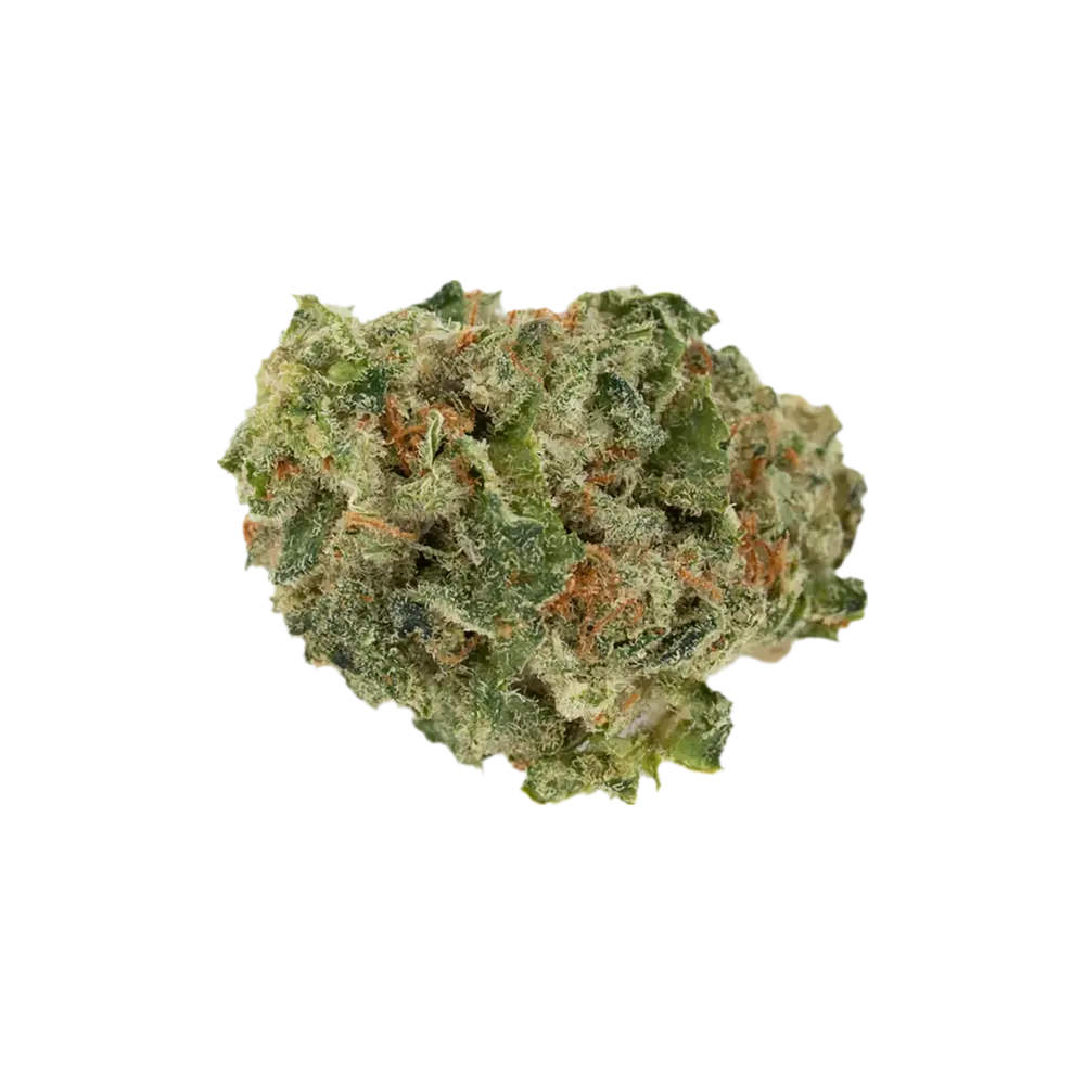Produkte - Khiron 25/1 SCD