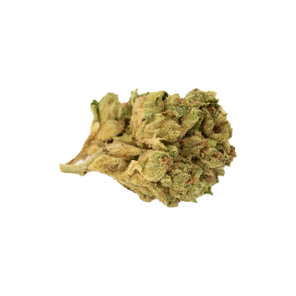 Produkte - Tilray THC18 Spotlight Porto