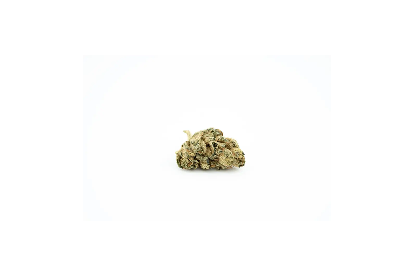 Produkte - Cannabis Flos 22/1 PT Ku.Pink Kush DAB Canify